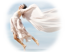Body Pure Body Pure